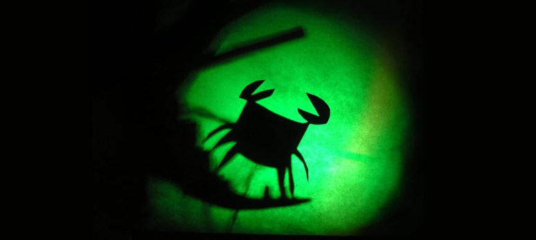 grupo girino - sonho de um zoológico de verão 09