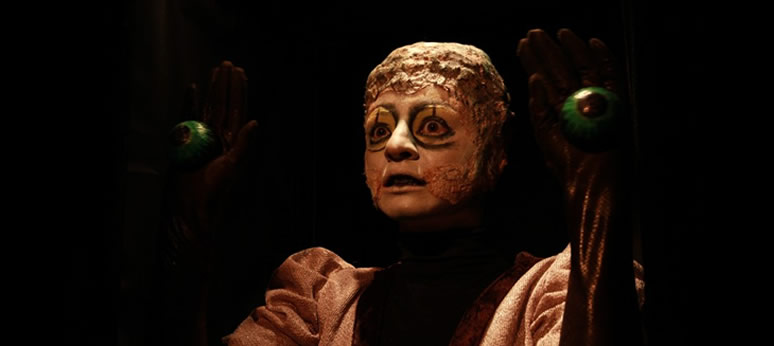 espetaculo metaformose grupo girino teatro de animacao 02