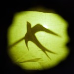 FESTIM 2015 _ Festival de Teatro em Miniatura _ Oficina Teatro de Sombras Grupo Girino _ Foto Hugo&nbsp;Honorato